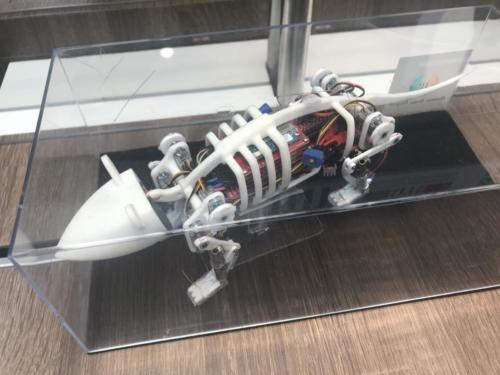 Neuro Robot, Human Brain Project (HBP)